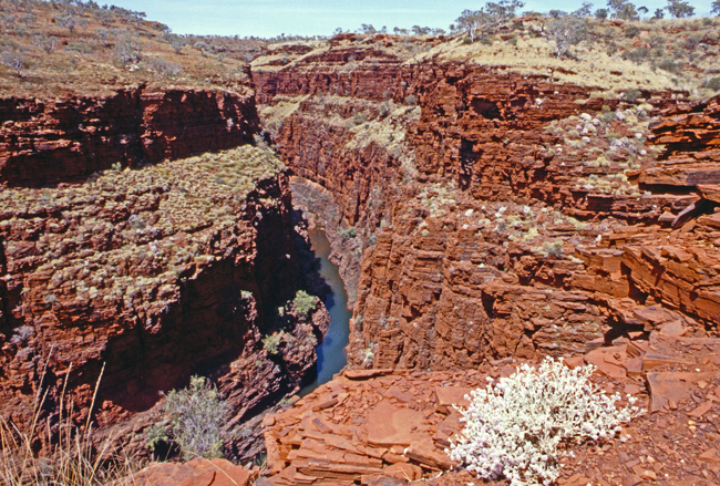 Silbernfarbige Büsche, tiefblaue Wasserlöcher und roter Fels am Oxer Lookout